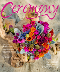 SD13-frontcovers3