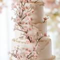 Lodge-at-Torrey-Pines-Wedding-Photos-1069