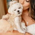 Lodge-at-Torrey-Pines-Wedding-Photos-94