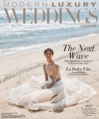 Modern Luxury Cover copy